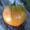 Tomate Coeur de Boeuf