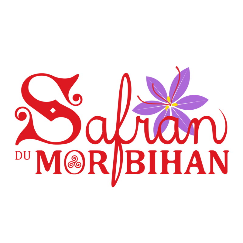 Safran du Morbihan