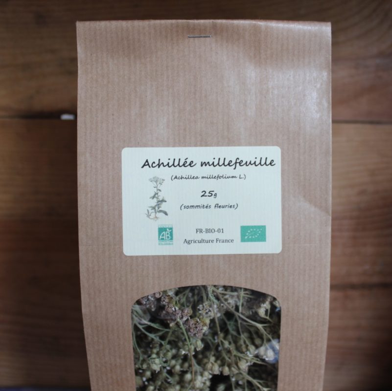 Achillée (3)
