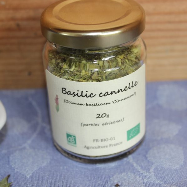 Basilic cannelle (2)
