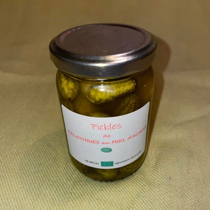 Pickles Melothries Mie