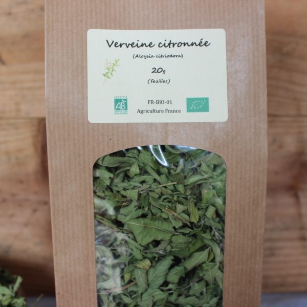 Verveine citronnée (4)